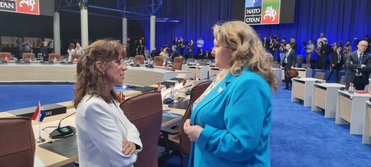 Petrovska takes part in ministerial meeting at NATO Vilnius summit