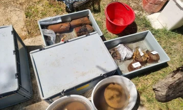 Населбата Буќеџе кај Лин во Поградец најстара во Европа