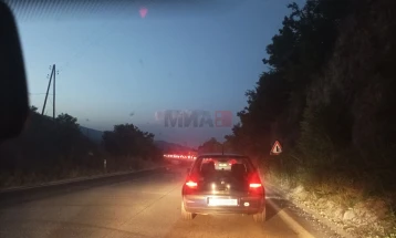 Големиот број на возила го отежна сообраќајот на магистралата Стража - Гостивар