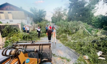 Во општина Бутел се отстрануваат паднатите дрвја и наноси од невремето