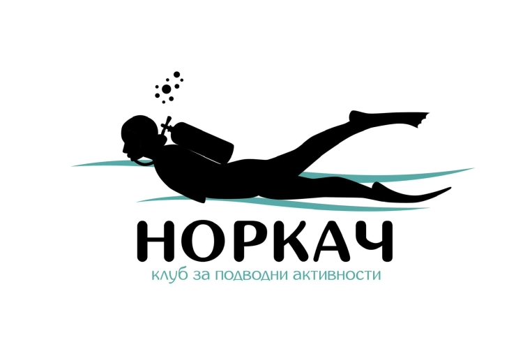 Подводно чистење на Охридското Езеро кај Радожда