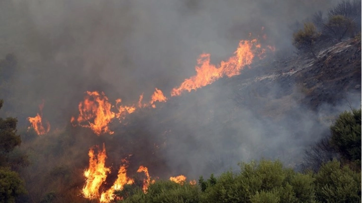 Во пожарите во Алжир досега 34 мртви, северот на Африка на удар на топлотен бран