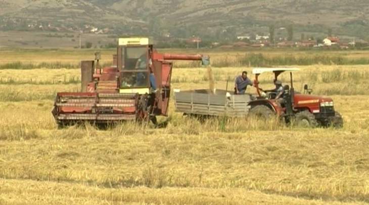 Nikollovski paralajmëroi masë të re për ruajtjen e grurit brenda nëntë muajve