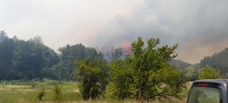 QMK: Zjarri në Katllanovë është lokalizuar dhe po shuhet nga zjarrfikësit