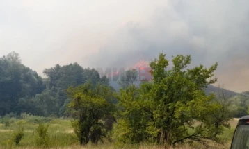 QMK: Zjarri në Katllanovë është lokalizuar dhe po shuhet nga zjarrfikësit