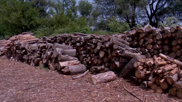 Четири пријави за измами при купување на огревни дрва во Куманово од почетокот на годинава
