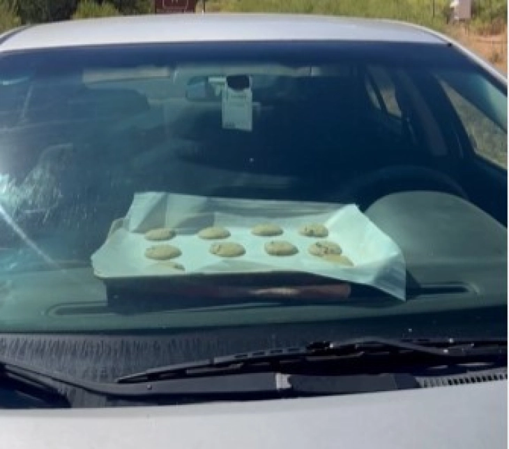 Renxherët në një park kombëtar në Juta poqën biskota në një automobil të parkuar