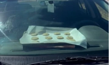 Renxherët në një park kombëtar në Juta poqën biskota në një automobil të parkuar