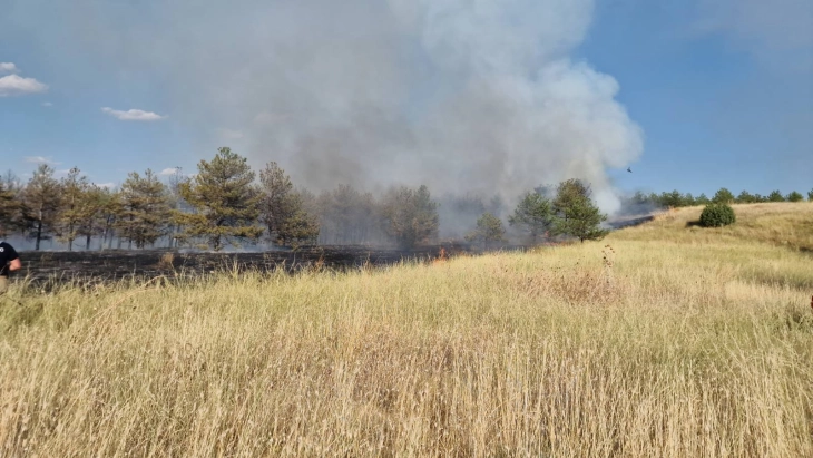 Stojanov: Sërish zjarr në Pyllin e Goces, ekziston dyshim se dikush me qëllim i djeg pishat