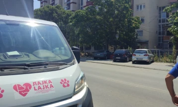 Од денеска ЈП Лајка ќе заловува бездомни кучиња во општина Гази Баба