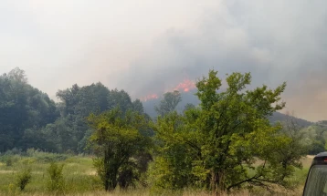 Dy zjarre të mëdha në Veles dhe Shkup