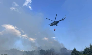 Во пожарот пред Отовица кај велешкото езеро „Младост“ изгореа 50 хектари сува трева, нискостеблеста шума, багреми и борчиња