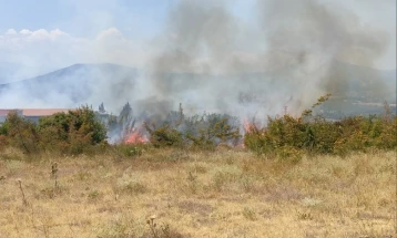 Пожар кај месноста Брдаров камен кај Богданци, постои опасност да се прошири кон ветерниците