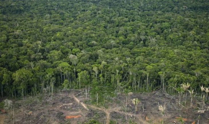 Уништувањето на шумите во Амазонија во јули се намали за 66 отсто