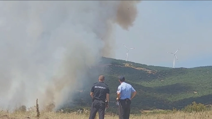 Bogdanci fire rages on as two firefighting aircraft battle blazes