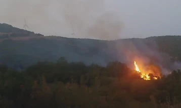 Во пожарот кај Богданци досега изгореа 500 хектари, гаснењето ќе продолжи и утре