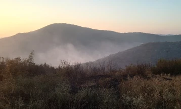 Është shuar plotësisht zjarri në afërsi të Bogdancit, janë djegur 350 hektarë pyje