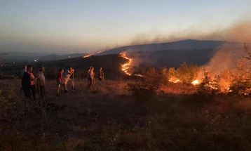 Пожар на патот Штип - Радовиш, гори нискостеблеста шума, грмушки и трева