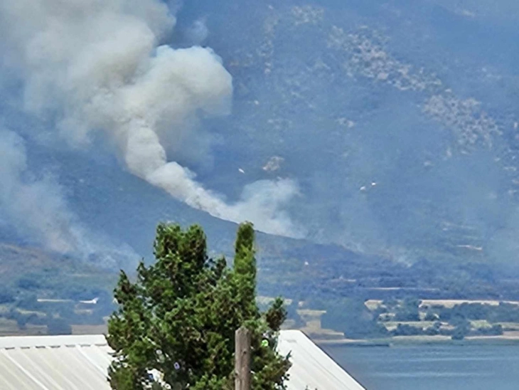 Zjarr në afërsi të Dojranit në drejtim të Nikoliqit