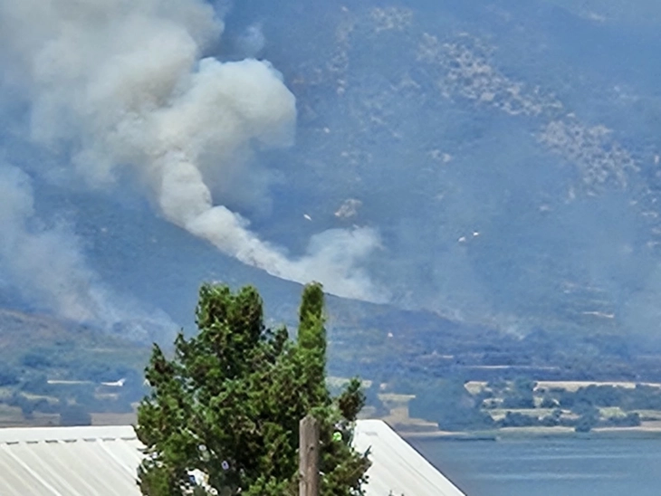 Zjarri në Dojran po përhapet me shpejtësi, pritet mbështetje për shuarje nga ajri