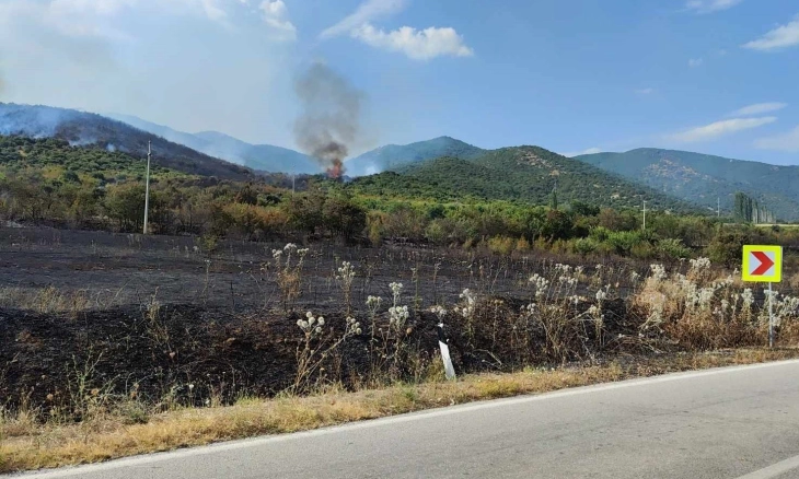 Zjarri afër Dojranit vihet pjesërisht nën kontroll