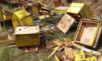 Në rajonin e Dibrës arinjtë kanë shkatërruar rreth 200 koshere bletësh