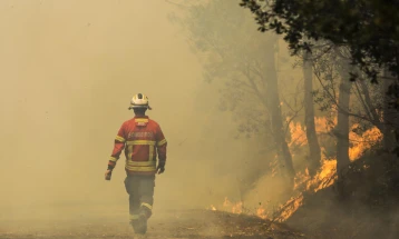 Janë evakuuar rreth 1.400 njerëz për shkak të zjarrit në Portugali