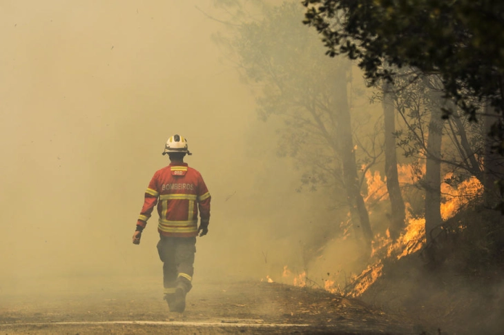 Portugal hit by forest fires, 1,400 people evacuated in Odemira