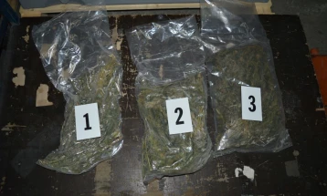 Триесет дена притвор за тетовец кај кого биле најдени 30 пакувања марихуана