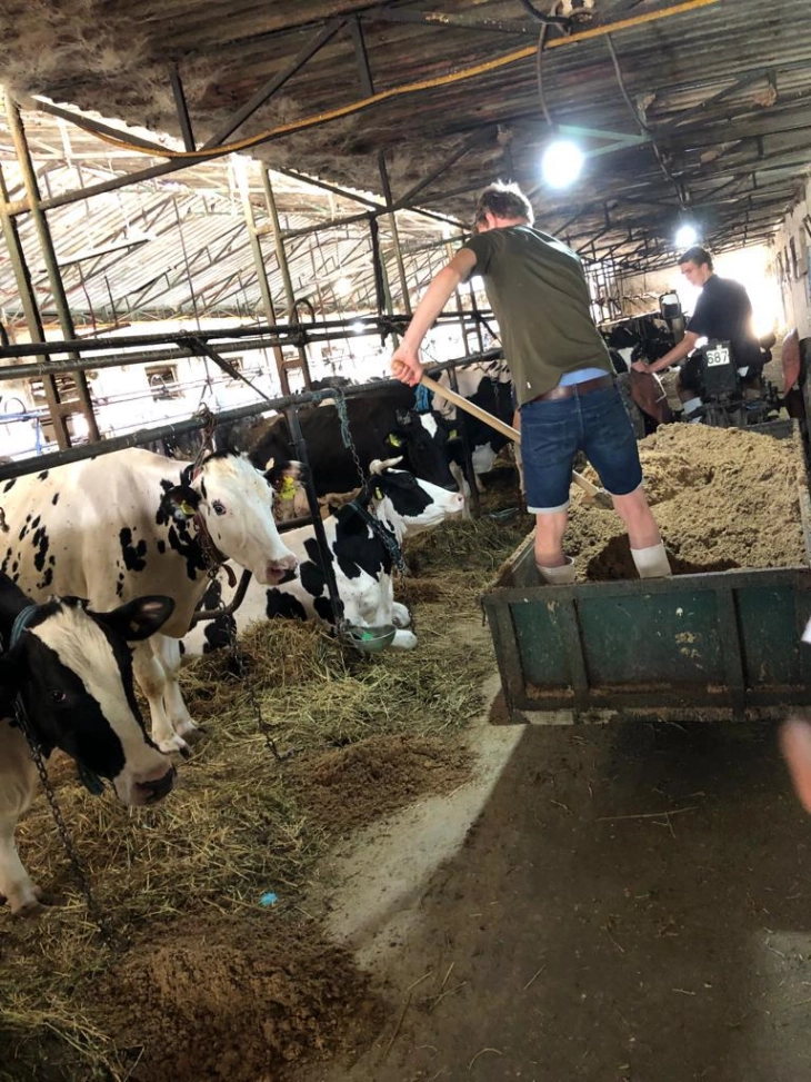 Кoмбинација на најдобрите практики од Северна Македонија и Холандија за подобро млекопроизводство