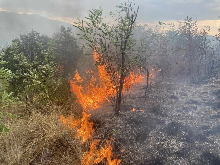 Ставен под контрола пожарот над месноста Брушани кај Тиквешко Езеро 