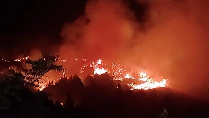 Локализиран е и вториот пожар кај Брушани на Тиквешко Езеро 