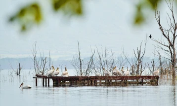 Нивоата на Охридското и Преспанското Езеро за еден сантиметар пониски од вчера