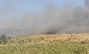 Изгаснат пожарот помеѓу кумановските села Брзак и Умин дол