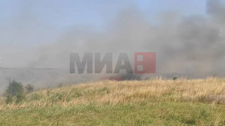 Shuhet zjarri në mes të fshatraveBërzak dhe Umin Doll  të Kumanovës