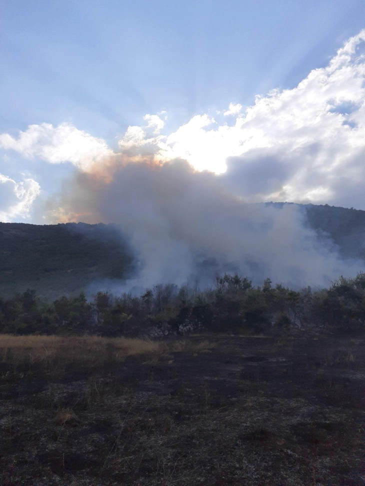 CMC: Three firefighting planes trying to put out fire near Debreshta village
