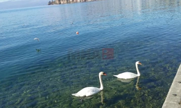 Ulet niveli i ujit në liqenin e Ohrit
