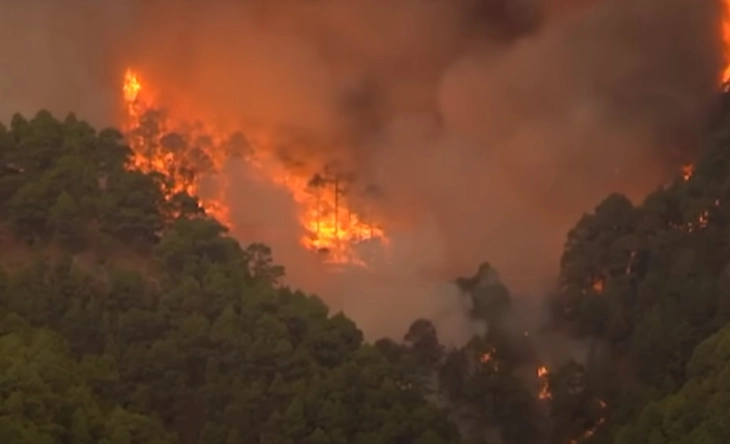 Fire on Spain's Tenerife continues to spread across island's north