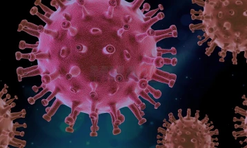 Një variant i ri i koronavirusit me një numër të madh mutacionesh të regjistruar në katër vende, shkencëtarët bëjnë kujdes