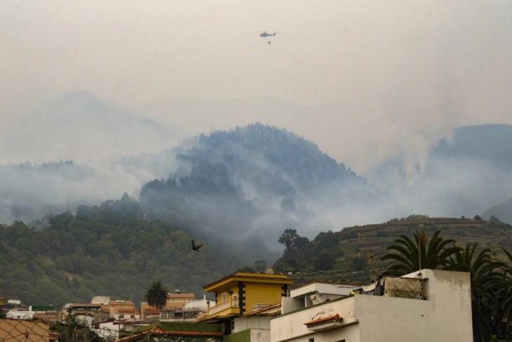 Околу 26.000 луѓе принудени да избегаат поради шумските пожари на Тенерифе