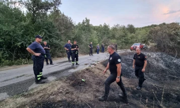 Изгаснат пожарот во близина на езерото Мантово