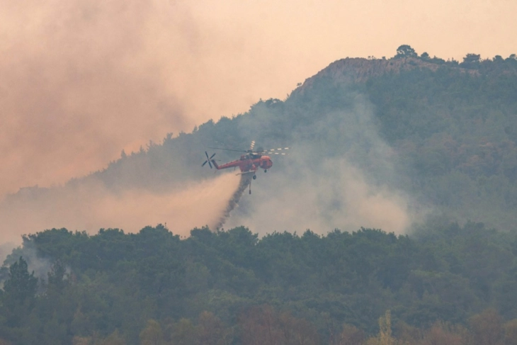 Шумски пожари во Грција: 18 јагленосани тела откриени на Еврос