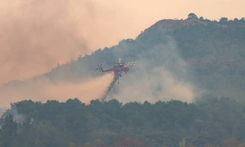 Eighteen bodies found in Greece's wildfire-hit Dadia national park