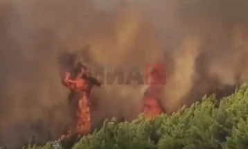 Një zjarr i madh në afërsi të kishës në qytetin shqiptar të Laçit, rrezikohen edhe shtëpi
