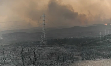 Zjarre pyjore dhe evakuime pranë Athinës dhe në provincën turke Çanakale