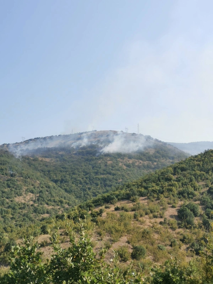 Во скопско активен еден пожар во атарот на село Блаце