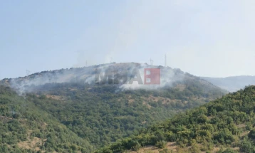 Në Shkup aktiv një zjarr në atarin e fshatit Bllacë