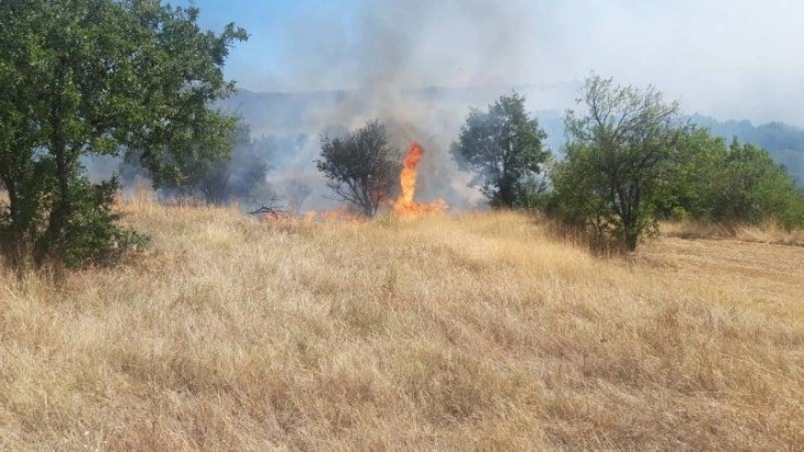 Nuk ka zjarre aktive, 28 janë shuar ditën e djeshme