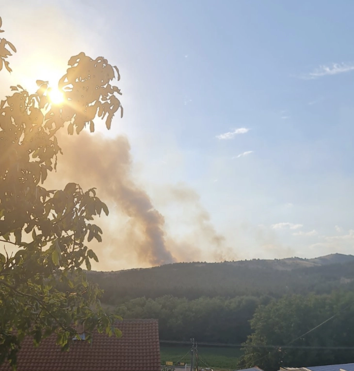 Një zjarr tjetër pyjor ka shpërthyer në territorin e komunës së Ilindenit