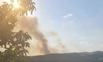 Një zjarr tjetër pyjor ka shpërthyer në territorin e komunës së Ilindenit